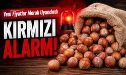 Karadeniz’de Fındıkta Kırmızı Alarm! Yeni Fiyatlar Merak Uyandırdı