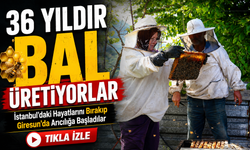 İstanbul’daki Hayatlarını Bırakıp Giresun’da Arıcılığa Başladılar; 36 Yıldır Bal Üretiyorlar