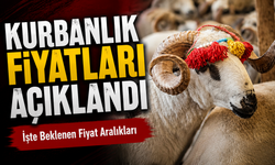 Kurbanlık Fiyatları Açıklandı: İşte Beklenen Fiyat Aralıkları