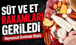 TÜİK Verileri Açıkladı: Süt ve Et Üretiminde Düşüş Yaşandı