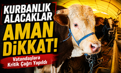 Kurbanlık Alacaklar Aman Dikkat!; Hayvan Pazarlarında Denetimler Artırıldı Vatandaşlara Kritik Çağrı Yapıldı