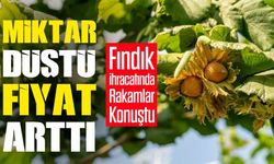 Fındık İhracatında Dikkat Çeken Gerileme! 8 Aylık Rakamlar Açıklandı