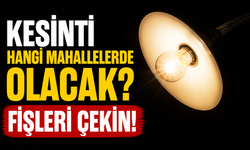 Fındıkta Beklenen Fiyat Açıklandı: Gözler Şimdi Piyasada