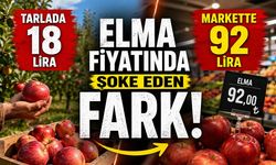 Tarlada 18, Markette 92 Lira: Elma Fiyatında Şoke Eden Fark!