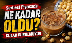 Karadeniz ekonomisinin can damarı olan fındıkta sular durulmuyor. Fındık Serbest Piyasada Ne Kadar Oldu?