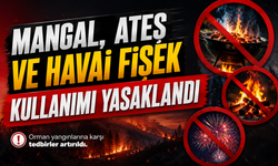 Mersin’de Ormanlara Giriş Yasaklandı! Mangal ve Havai Fişeğe Kısıtlama