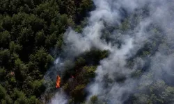 Fethiye’de Korkutan Orman Yangını! Ekipler Alarm Durumunda