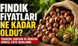Fındık Fiyatları Ne Kadar Oldu? Trabzon, Giresun Ve Ordu’da Güncel Liste Açıklandı