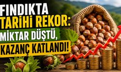 Fındıkta Tarihi Rekor: Miktar Düştü, Kazanç Katlandı!