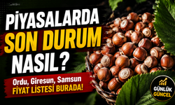 Güncel Fındık Fiyatları: Ordu, Giresun, Samsun Fiyat Listesi Burada