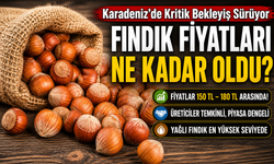 Fındıkta Şok Liste! İl İl Açıklanan Rakamlar Dikkat Çekti; Karadeniz’de Fiyatlar Yeniden Değişti
