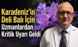 Karadeniz’in Deli Balı İçin Bilinçli Tüketim Uyarısı