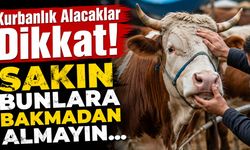 Kurbanlık Alacaklar Dikkat! Sakın Bunlara Bakmadan Almayın...