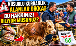 Kusurlu Kurbanlıkta Kritik Süreç: Bu Hakkınızı Birçok Kişi Bilmiyor