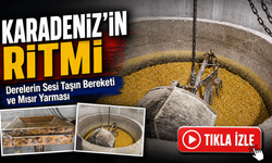 Derelerin Sesi Taşın Bereketi ve Mısır Yarması: Karadeniz’in ritmi
