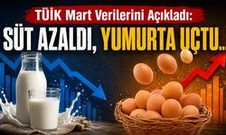 TÜİK Mart Verilerini Açıkladı: Süt Azaldı, Yumurta Uçtu...