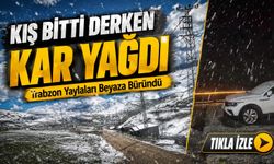 Trabzon Yaylaları Beyaza Büründü: Görenler Şaşkına Döndü