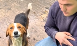 Giresunlu Fenomenin Köpeğine Verdiği Uluma Dersi Sosyal Medyayı Yıktı