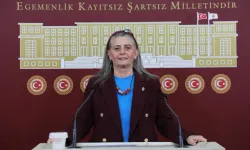 CHP’li Suiçmez’den Orman Tepkisi: “131 Futbol Sahası Yok Ediliyor”