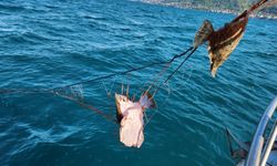 Trabzon’da Denizde Kaçak Kalkan Ağı Operasyonu Gerçekleştirildi