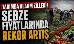 Tarımda Fiyat Alarmı! Üretici Enflasyonu Yüzde 42’yi Aştı