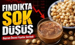 Serbest Piyasada Fındık Geriledi: Üreticiyi Şaşırtan Tablo