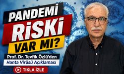 Prof. Dr. Tevfik Özlü’den Hanta Virüsü Açıklaması; Pandemi Riski Var mı?