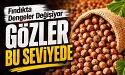 Fındık Fiyatlarında Yeni Hafta Alarmı: Piyasa O Seviyeye Kilitlendi