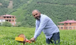 Çay Sektöründen Yeni Çağrı! “Kuru Çaya da Acilen Zam Yapılmalı”