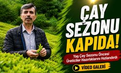 Yaş Çay Sezonu Öncesi Üreticiler Hazırlıklarını Hızlandırdı; “Kademeli Bir Çay Geçişi Olacağa Benziyor”