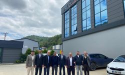 Trabzon’dan Dünyaya Açılan Lezzet! Karadeniz Somonu İhracatta Zirvede