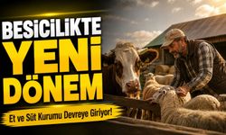 Besicilikte Gelir Garantili Yeni Dönem; Et ve Süt Kurumu Devreye Giriyor!