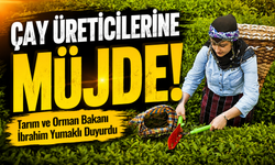 Çay Üreticilerine Müjde: Tarım ve Orman Bakanı İbrahim Yumaklı Duyurdu