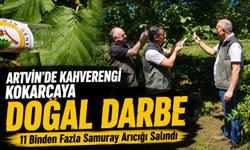 Artvin’de Kahverengi Kokarcaya Doğal Darbe: 11 Binden Fazla Samuray Arıcığı Salındı
