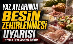 Yaz Aylarında Besin Zehirlenmesi Uyarısı: Uzman İsim Riskleri Anlattı