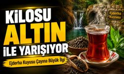 Kilosu Altın İle Yarışıyor; Ejderha Kuyusu Çayı Servet Değerinde!