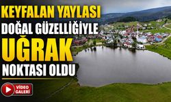 Ordu’nun 1200 Rakımlı Keyfalan Yaylası Yaz Sezonunda Ziyaretçilerini Ağırlıyor