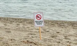Ordu ve Giresun'da denize girilmesine izin verilmiyor