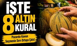 Kavun Alırken Bu Hataları Yapmayın! Tatlı ve Sulu Kavunu Seçmenin 8 Püf Noktası