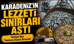 Karadeniz’in Lezzeti Sınırları Aştı; Türkiye’den 2 Bin 662 Ton Hamsi İhracatı!
