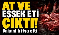 Bakanlık Tek Tek Açıkladı: İçli Köfte ve Kavurmada Şoke Eden Et Skandalı
