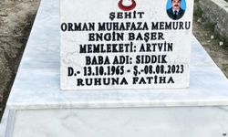 Artvin'de şehit mezarlarının bakımı yapıldı