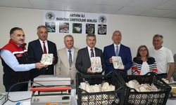 Artvin'deki atıl tünelde üretilen istiridye mantarının bu yılki hasadı yapıldı