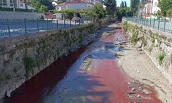 Dereyi zirai ilaç ile kirleten işletmeye suç duyurusu