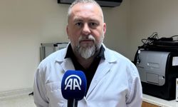 Giresun yağlı fındığının 'formaldehit' kaynaklı kısırlık tedavisindeki etkisi araştırıldı