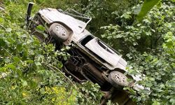 Giresun'da şarampole devrilen kamyonetin sürücüsü öldü