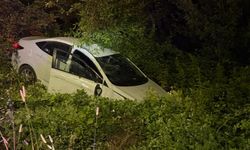 Hedeğe devrilen otomobildeki 2 kişi yaralandı