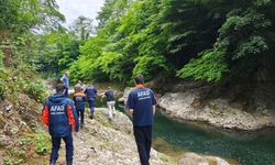 Ordu'da dereye düşen kişi öldü
