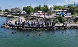 Samsun'da sahil ve deniz dibi temizliğiyle çevre farkındalığı oluşturuldu