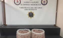 Samsun'da tırda 129 bin 500 sentetik ecza hapı ele geçirildi